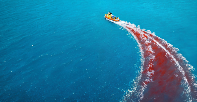 Jaws Turns 50 in 2025: Here Are The 10 Best Shark Movies to Watch to Celebrate