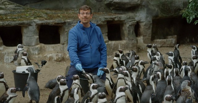 Bij ons in de Dierentuin