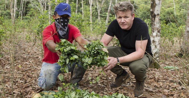 Gordon Ramsay: Kokain