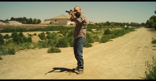 The Last Ones - Videograss