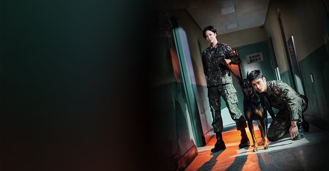 Procureur Militaire Doberman