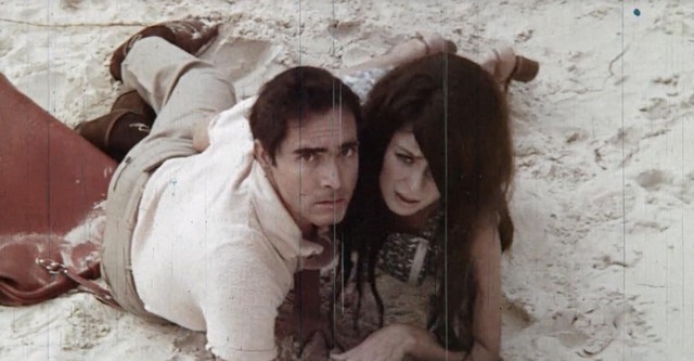 Sex and the Lonely Woman