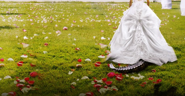 Bridezillas