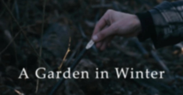 A Garden in Winter