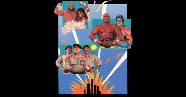 WWE SummerSlam 1991