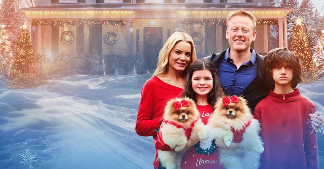 Welpen zu Weihnachten 2: Pfötchen allein zu Haus