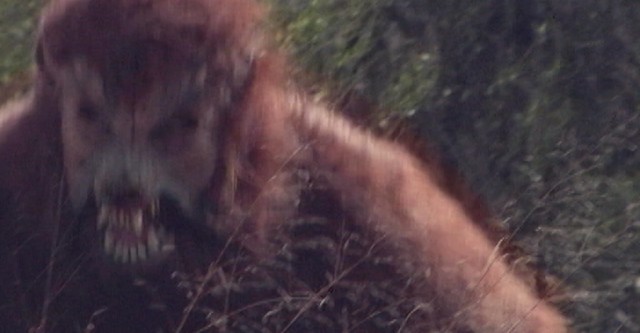 Hacked Horror Film Massacre