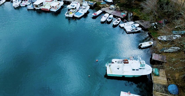Surviving Lake Lanier