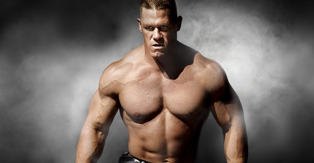 WWE Survivor Series 2008