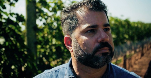 Ensinando Como Apreciar Vinhos