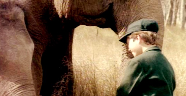 Mein Freund, der kleine Elefant