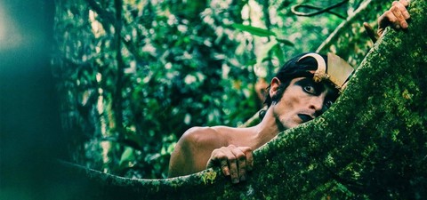 Os 10 Melhores Filmes Sobre Cantores Brasileiros e Onde Assistir a Eles