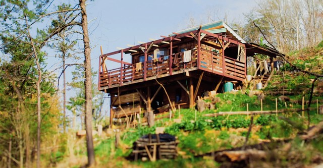 백 투 더 네이처