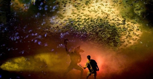 Sahne Arkası: Stranger Things - İlk Gölge