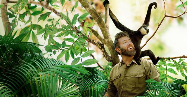 Vantara: Sanctuary Storie