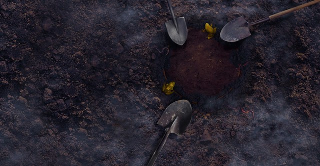 Mystery at Blind Frog Ranch