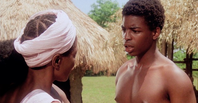 Roots: The Complete Miniseries