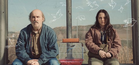 Los Feroz 2026 avalan: estas son las mejores series españolas del año