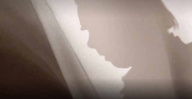 Nick Cave's Veiled World