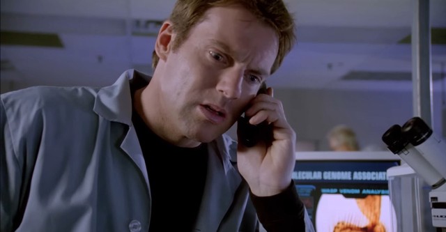 Swarmed - Das tödliche Summen