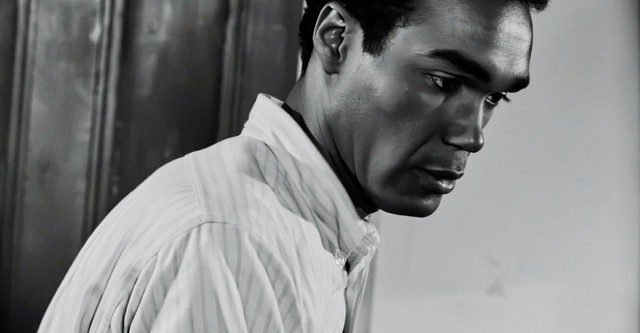 Hellvira's Haunted Asylum of Horror