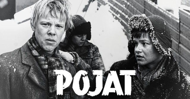 Pojat