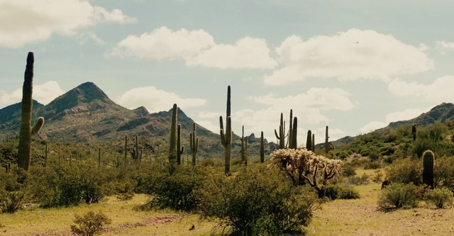 Borderland Blues