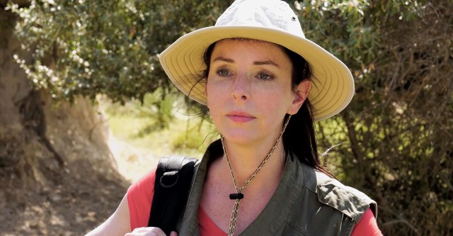 In the Moon's Shadow