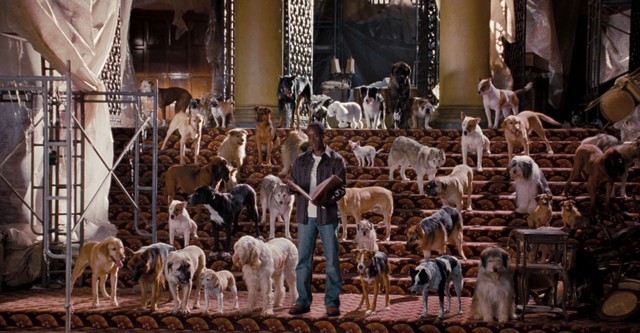 Das Hundehotel