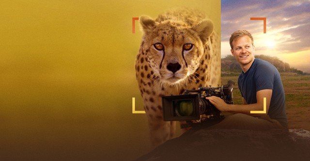 Cheetahs Up Close with Bertie Gregory