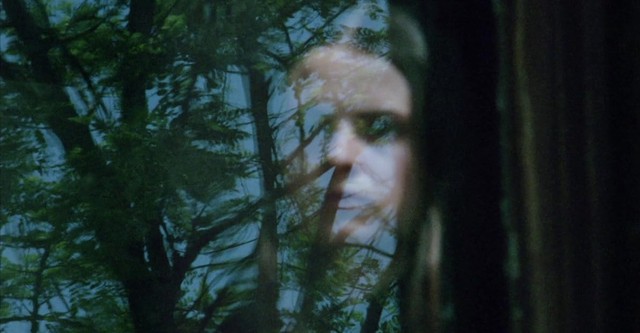 L'Héritière de Dracula