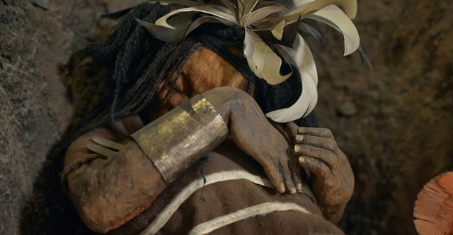 Incas: The Rise And Fall