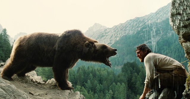L'orso