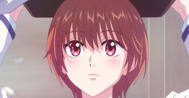 花ざかりの君たちへ