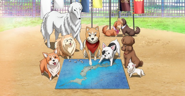 Oda Cinnamon Nobunaga