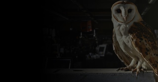 Zukunft ohne Menschen