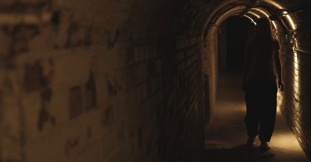 The Cellar