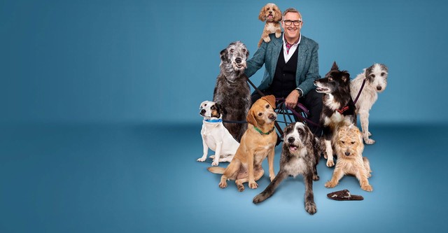 Dogs Behaving (Very) Badly