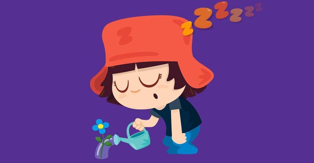 Siesta Z