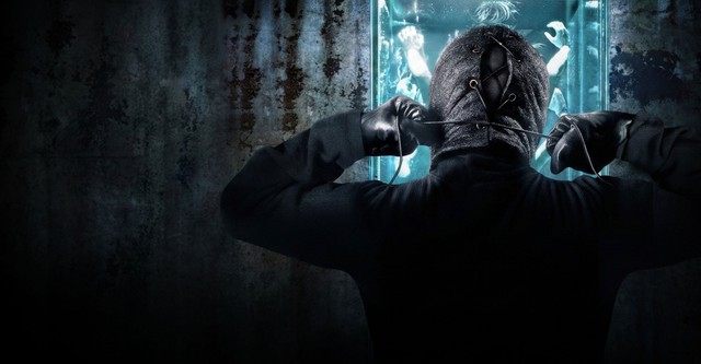 The Collection - The Collector 2