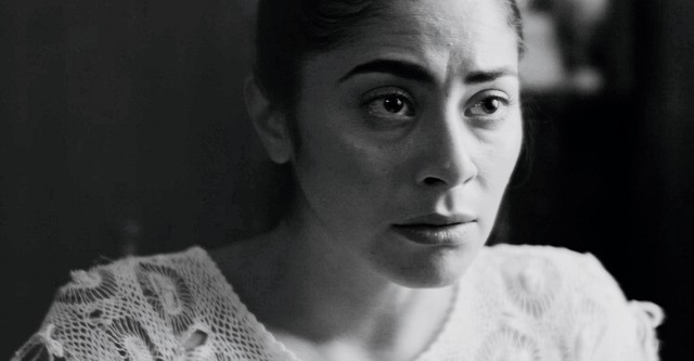 Before the Buzzards Arrive