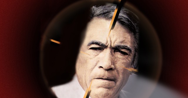 Los tigres no lloran