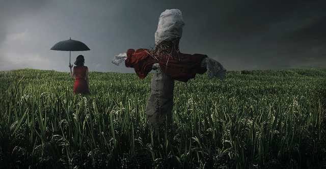 I migliori film coreani: dove guardare ogni titolo in streaming