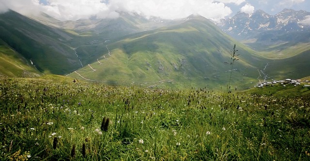 Dance the Past Into The Future