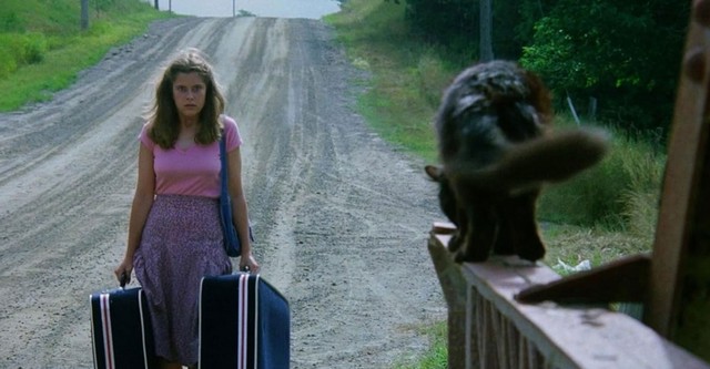 A Pousada Assombrada