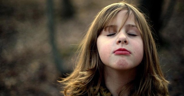 Approaching the Elephant