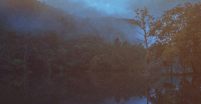 Nikt cię nie usłyszy