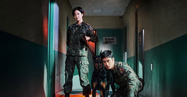 Military Prosecutor Doberman