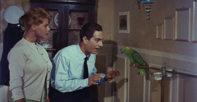 Der Windhund von Venedig