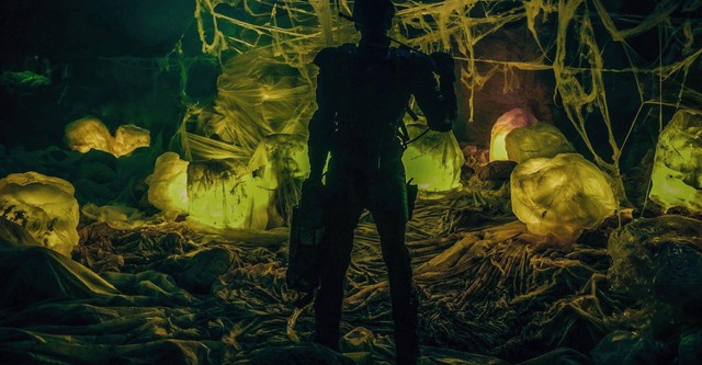 It Came from the Desert